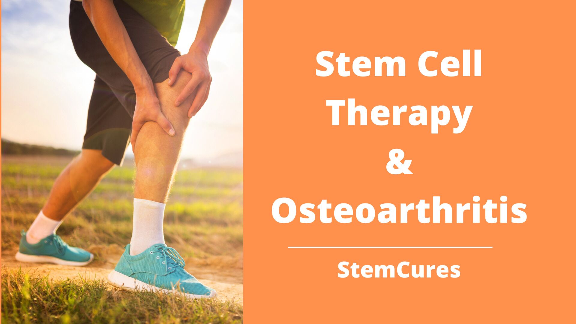 Utilizing Stem Cell Therapy For Osteoarthritis Stemcures 5850