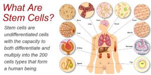 What is regenerative medicine, what are its benefits, and is it